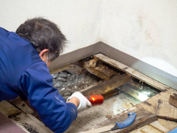 Tarrant, AL Mold Remediation Company