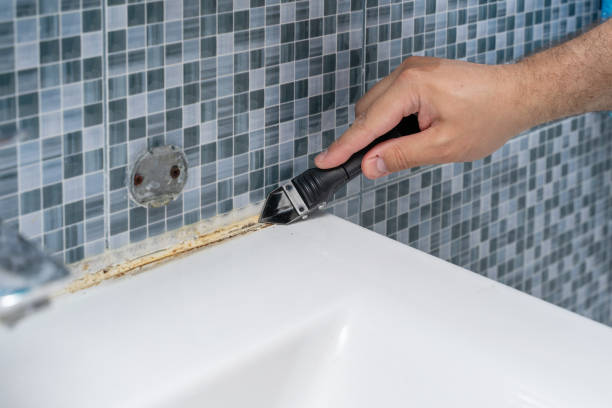 Best Post-Flood Mold Remediation in Tarrant, AL