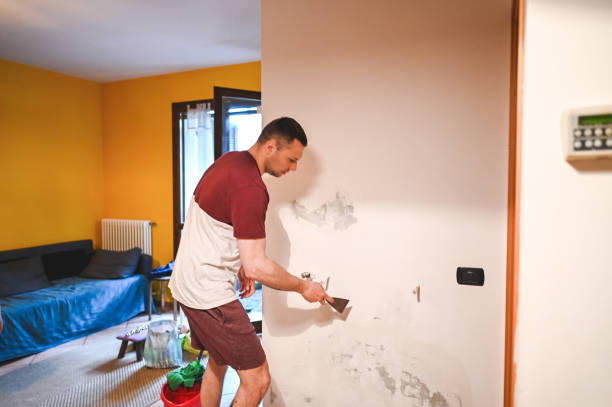 Best Black Mold Remediation in Tarrant, AL